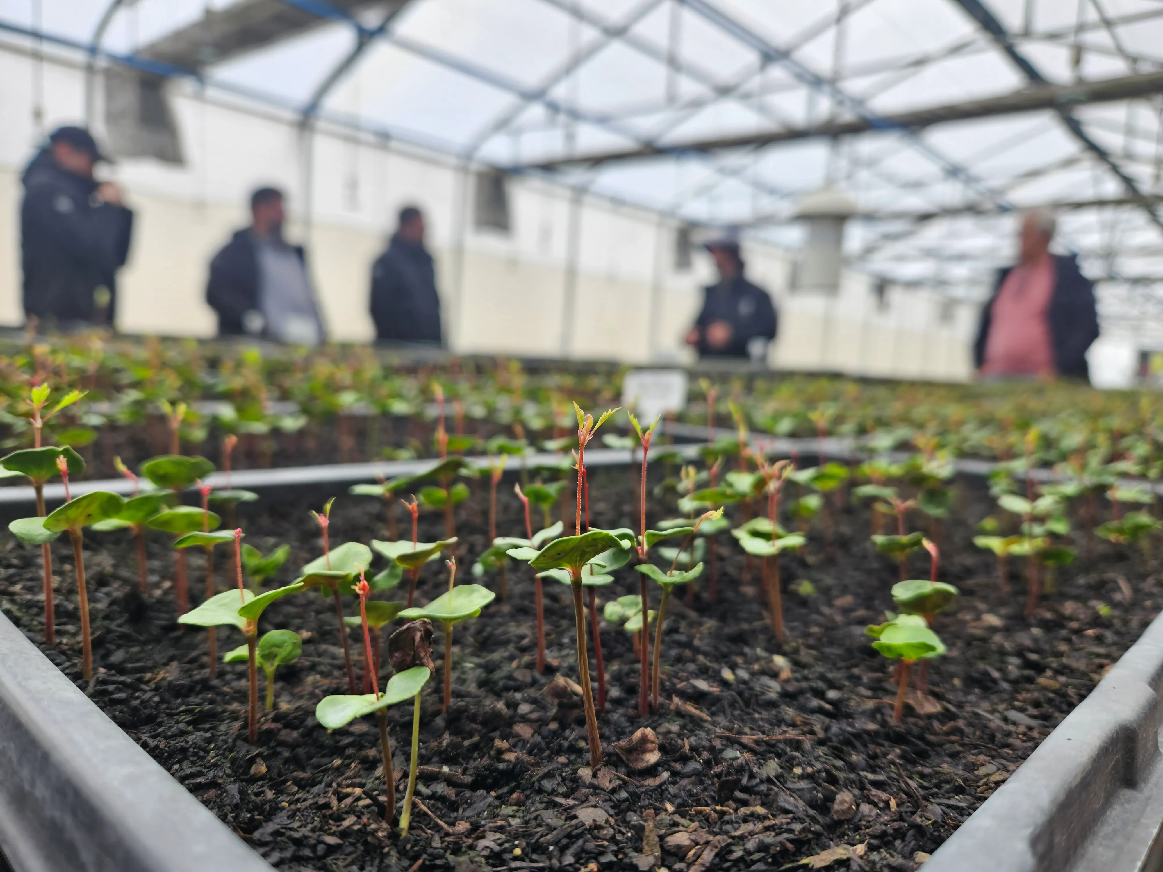 Día de la Tierra, una fecha clave para reafirmar el compromiso con la sostenibilidad El compromiso de Epson con el medio ambiente